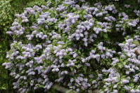 Image 24