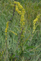 Image 23