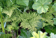 Image 14
