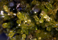 Image 15