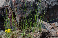 Image 23