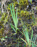 Image 24