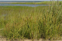 Image 14
