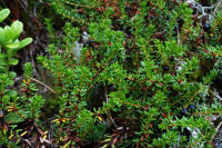 Image 14