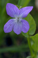 Image 14