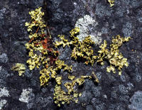 Image 23