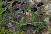 Image 14
