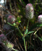 Image 14