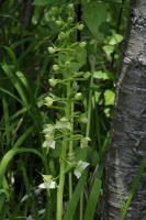 Image 23