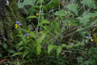 Image 13