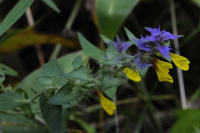 Image 14