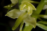 Image 24