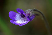 Image 16