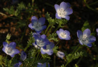 Image 23