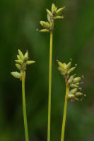 Image 23