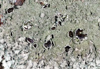 Image 17