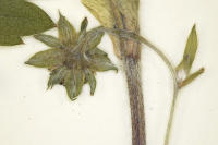 Image 22