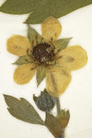 Image 24