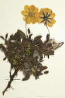 Image 17