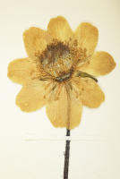 Image 18