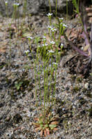Image 14