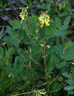Image 23