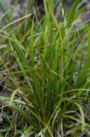 Image 14