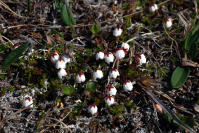 Image 13
