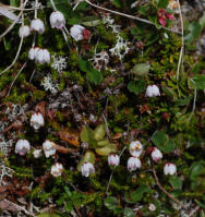 Image 14