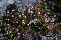 Image 16