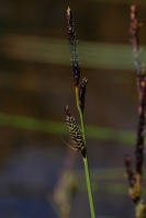 Image 16