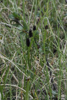 Image 14