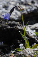 Image 23
