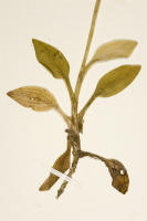 Image 23