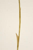 Image 24