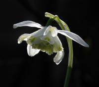 Image 17