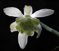 Image 18