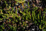 Image 14