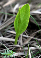 Image 14
