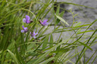 Image 23