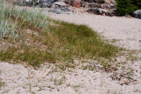 Image 24