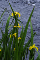 Image 14