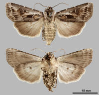 Image 20