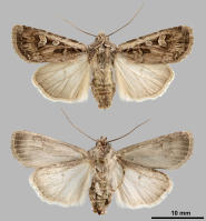 Image 23